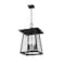 Z-Lite Rainer 5 Light Outdoor Chain Mount Ceiling Fixture, 15.5in. W x 24in. H, Black 5015CHXL-BK - alternate 6